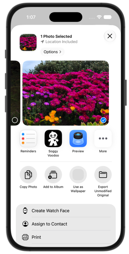 iPhone Share Sheet showing Soggy Voodoo as a share destination